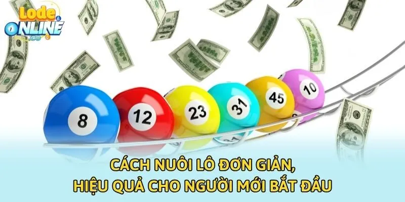 Cách Nuôi Lô Đơn Giản, Hiệu Quả Cho Người Mới Bắt Đầu
