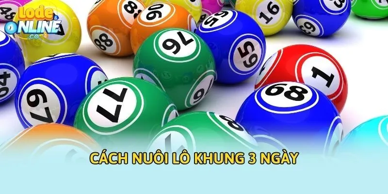 Cách nuôi lô khung 3 ngày