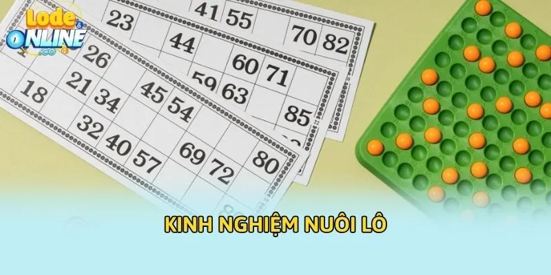 Kinh nghiệm nuôi lô