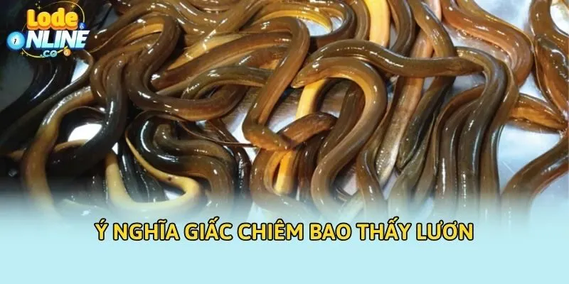 Ý nghĩa giấc chiêm bao thấy lươn